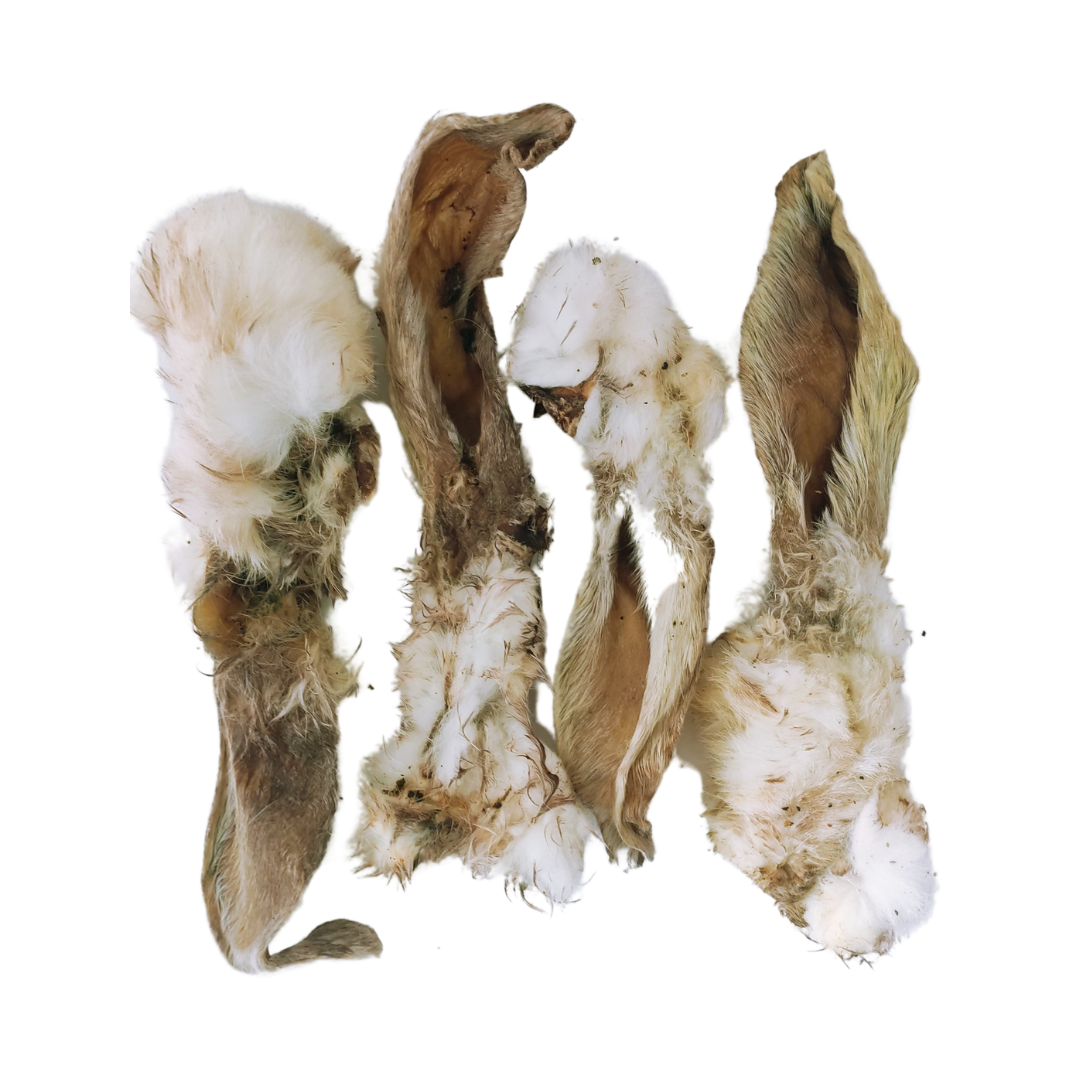 Furry rabbit ears for cheap dogs